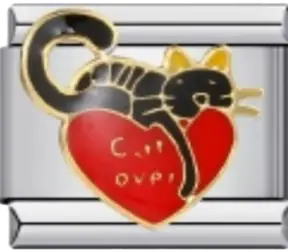 Cat on Heart