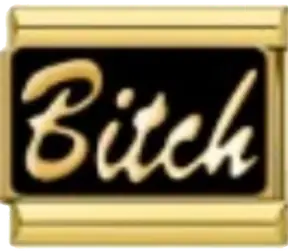 Bitch