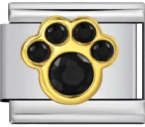Black Paw