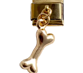 Doggy Bone